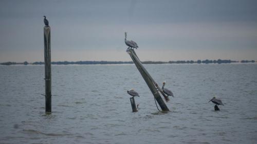 The Old Pier